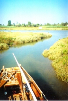 Anse du Conseiller 1